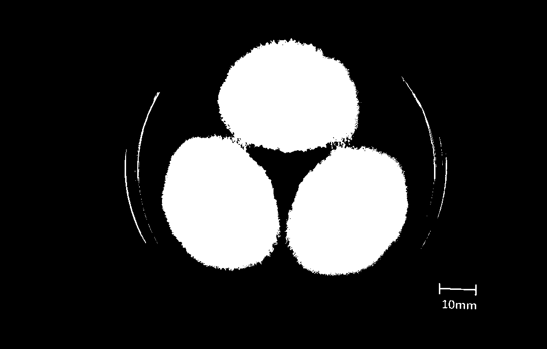 A new fusarium fusarium fusarium and method for producing gibberellin a4 by fermentation thereof