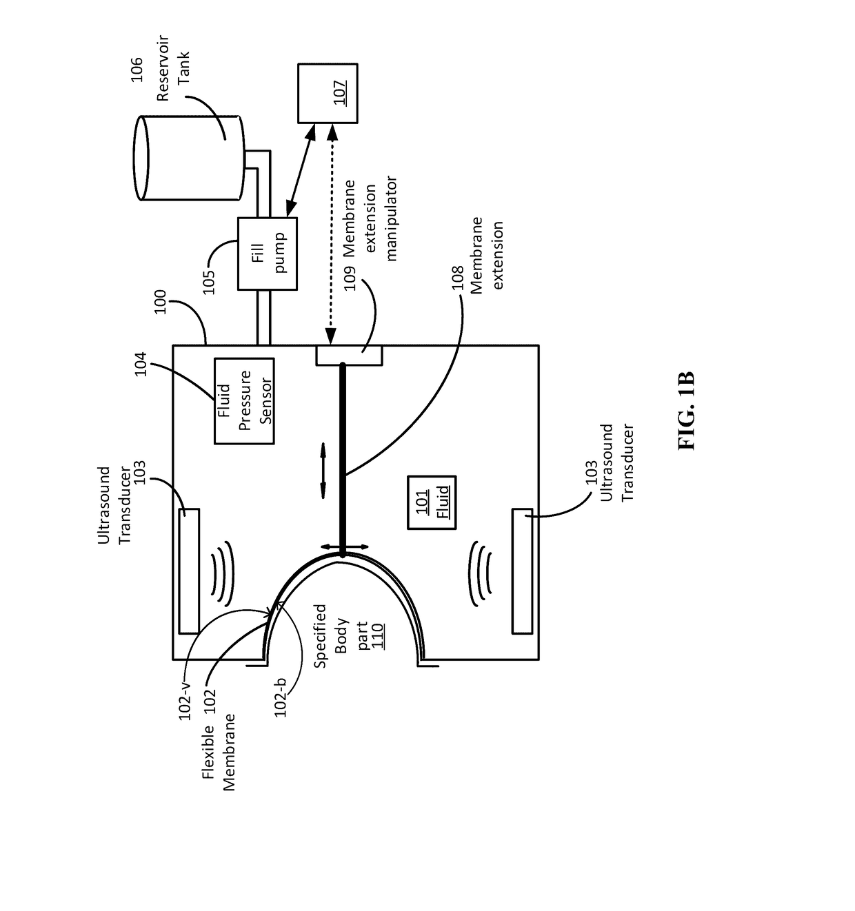 Retention and stabilization of anatomy for ultrasound imaging