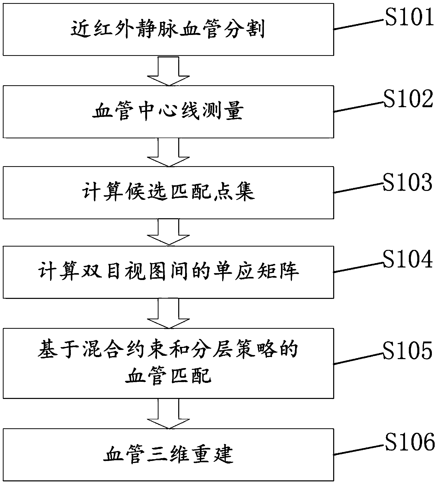 Subcutaneous vein three-dimensional reconstruction method based on hybrid matching strategy