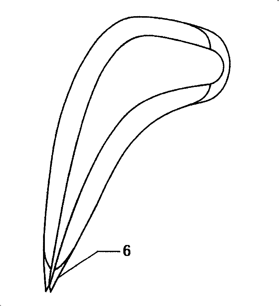 Blade tip alula of turbine or steam turbine moving-blade