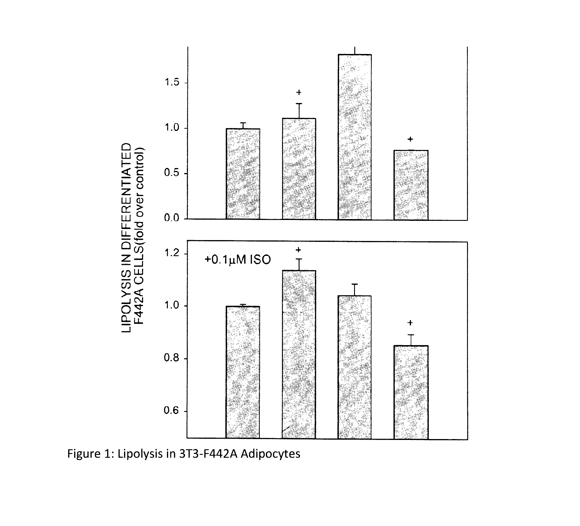 Compositions and Methods of Use of -hydroxy--methylbutyrate (HMB) for Decreasing Fat Mass