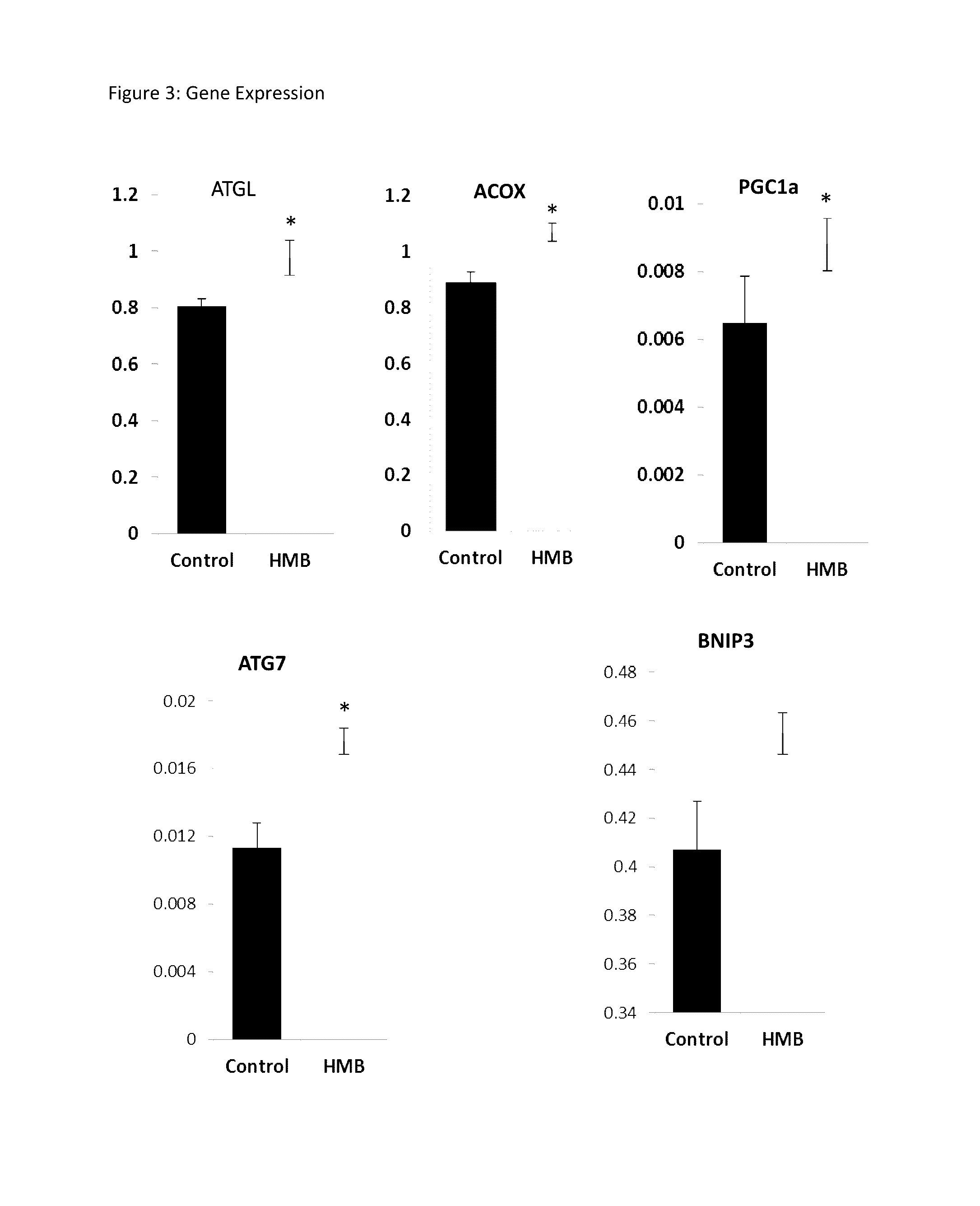 Compositions and Methods of Use of -hydroxy--methylbutyrate (HMB) for Decreasing Fat Mass