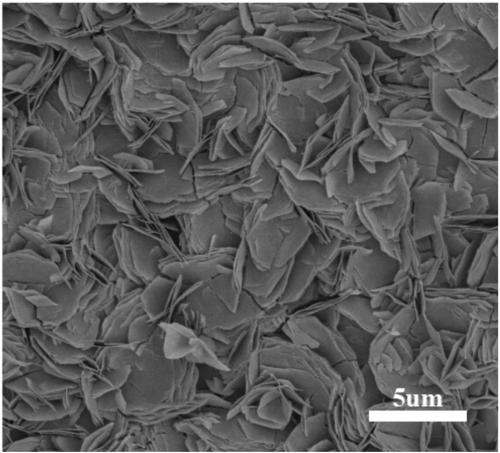 Foamed ceramic for catalyst carriers and preparation and application methods thereof