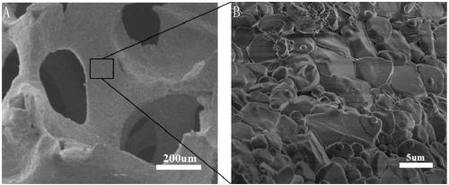 Foamed ceramic for catalyst carriers and preparation and application methods thereof