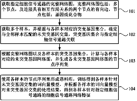 Method and device for determining network characteristics of cell signal path, equipment and medium