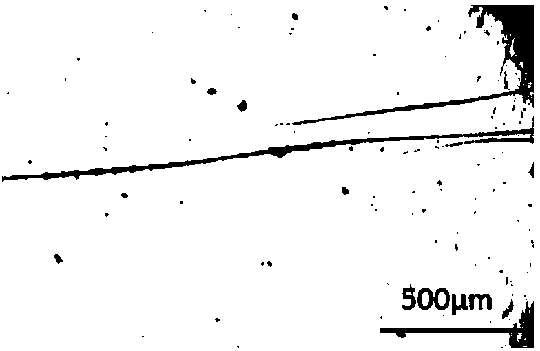 Crosslinked polyurea elastomer with self-repairing property and preparation method thereof