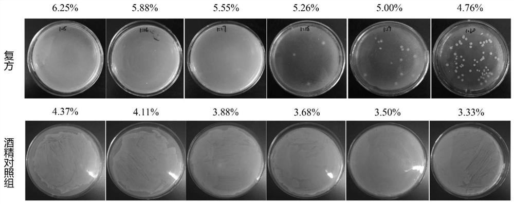 A kind of anti-Staphylococcus aureus and its drug-resistant strain traditional Chinese medicine composition and its preparation method and application