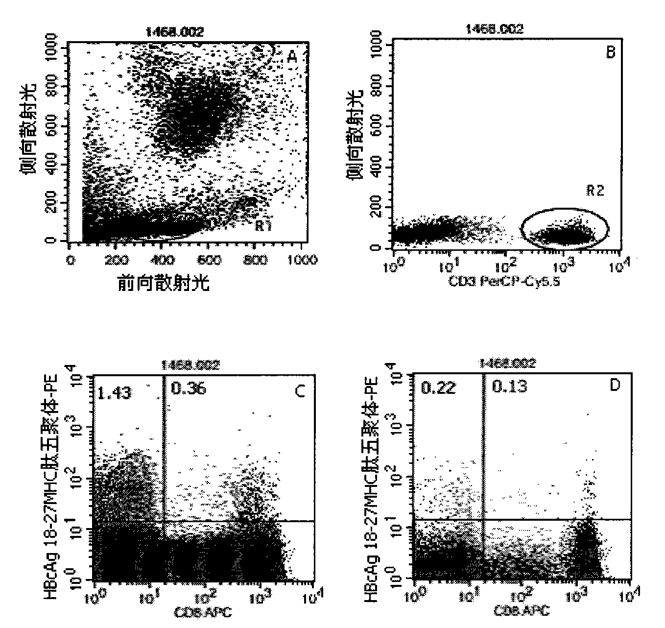 Quantitative determination method for hepatitis b virus specificity cell toxicity T lymphocyte