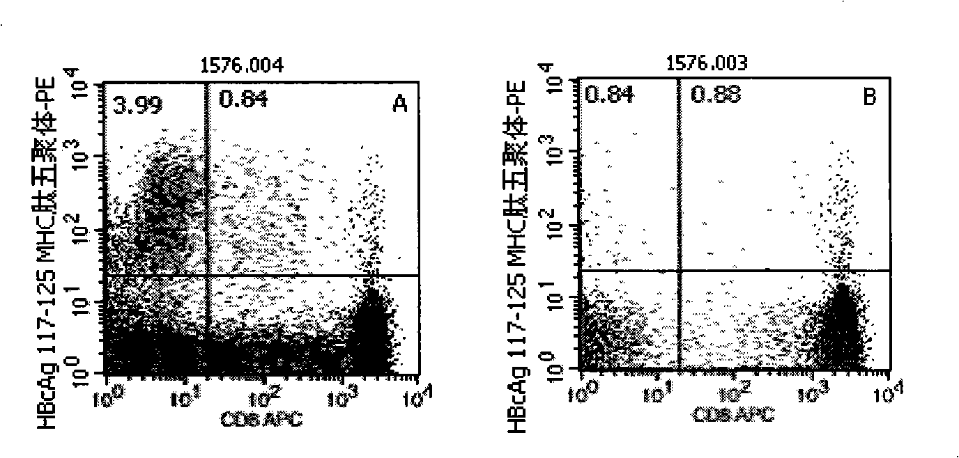 Quantitative determination method for hepatitis b virus specificity cell toxicity T lymphocyte