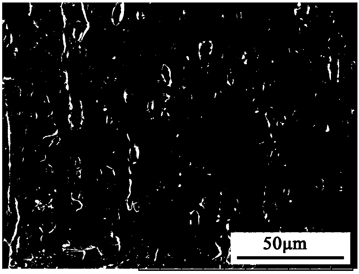 Polyperfluorinated ethylene propylene hollow fiber membrane preparation formula and preparation method