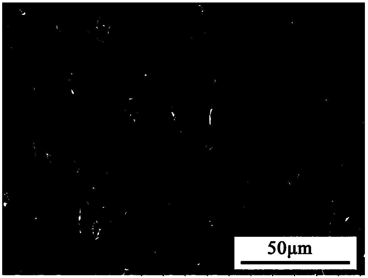 Polyperfluorinated ethylene propylene hollow fiber membrane preparation formula and preparation method