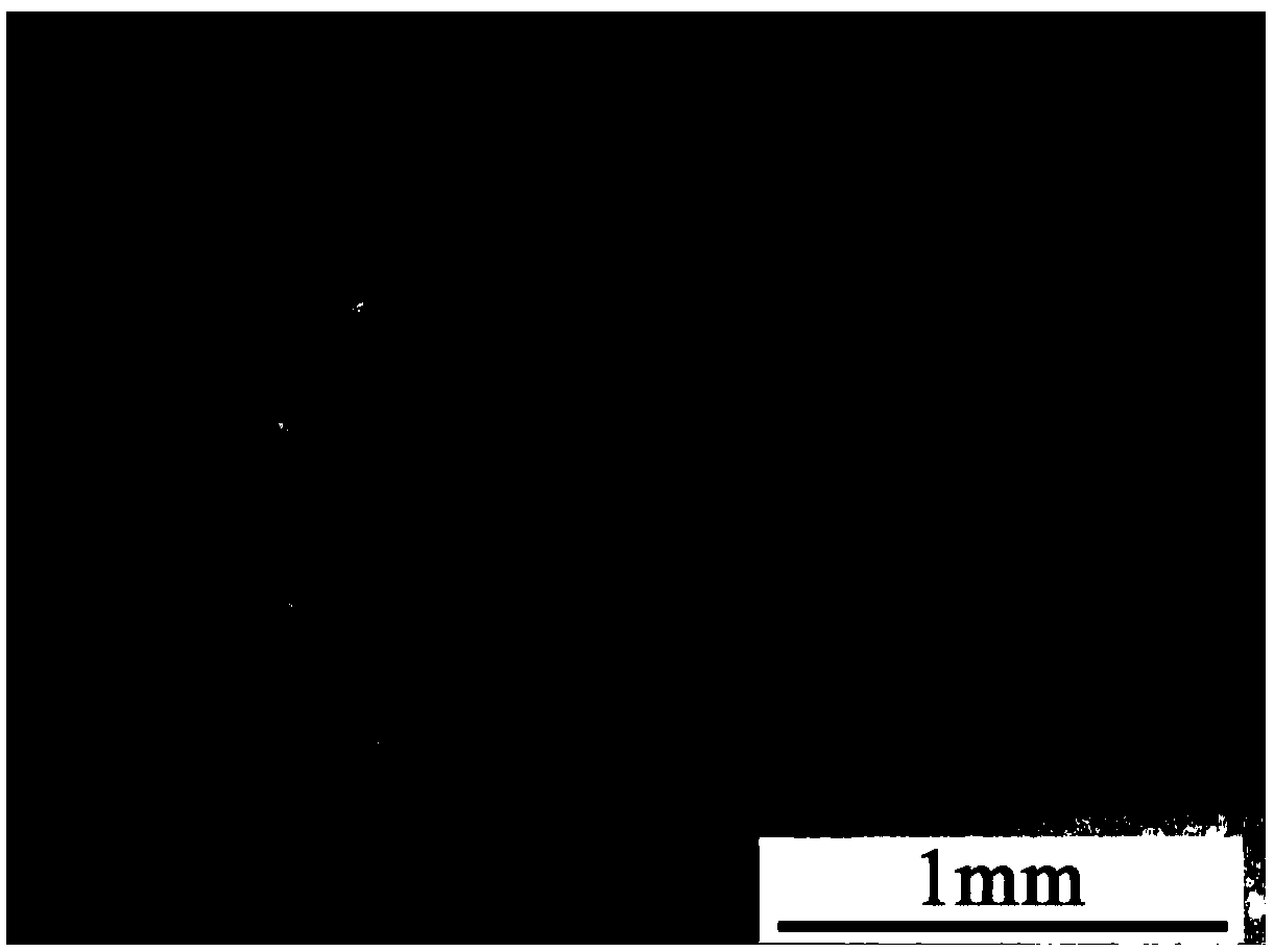 Polyperfluorinated ethylene propylene hollow fiber membrane preparation formula and preparation method