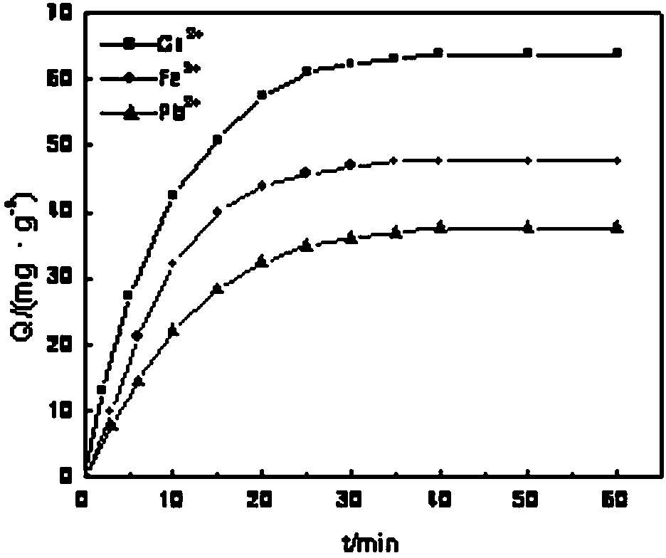 Metal ion carbonized adsorption material and preparation method thereof