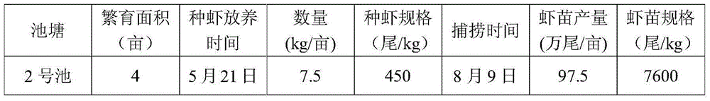 Two-stage efficient rearing method for freshwater shrimp fry