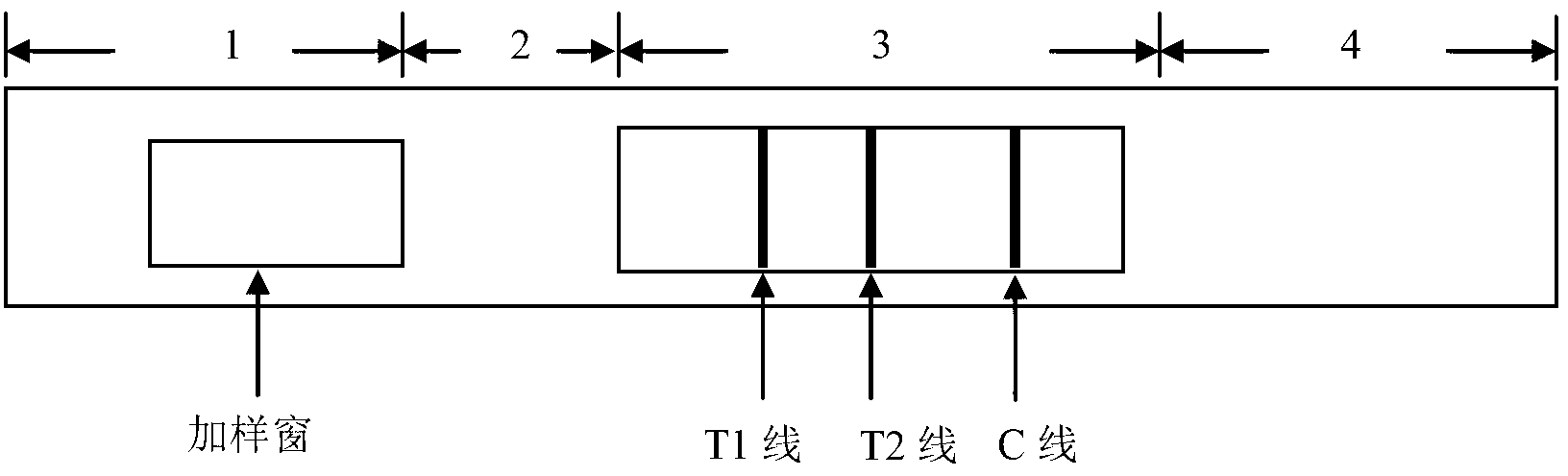 Detection test paper strip of colloidal gold method for adenovirus IgM and IgG antibodies, kit and preparation method thereof