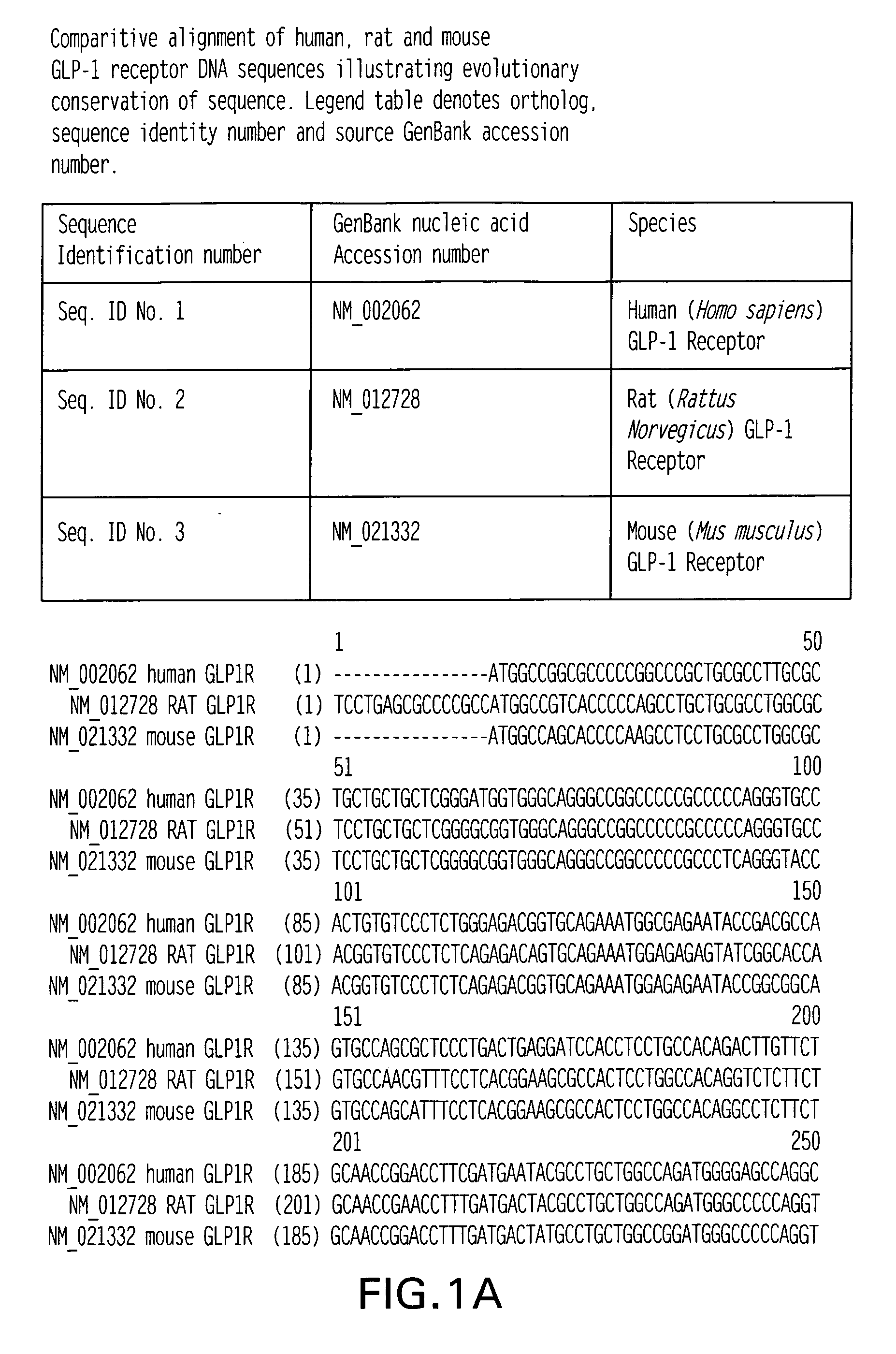 GLP-1 receptor agonist and allosteric modulator monoclonal antibodies and uses thereof