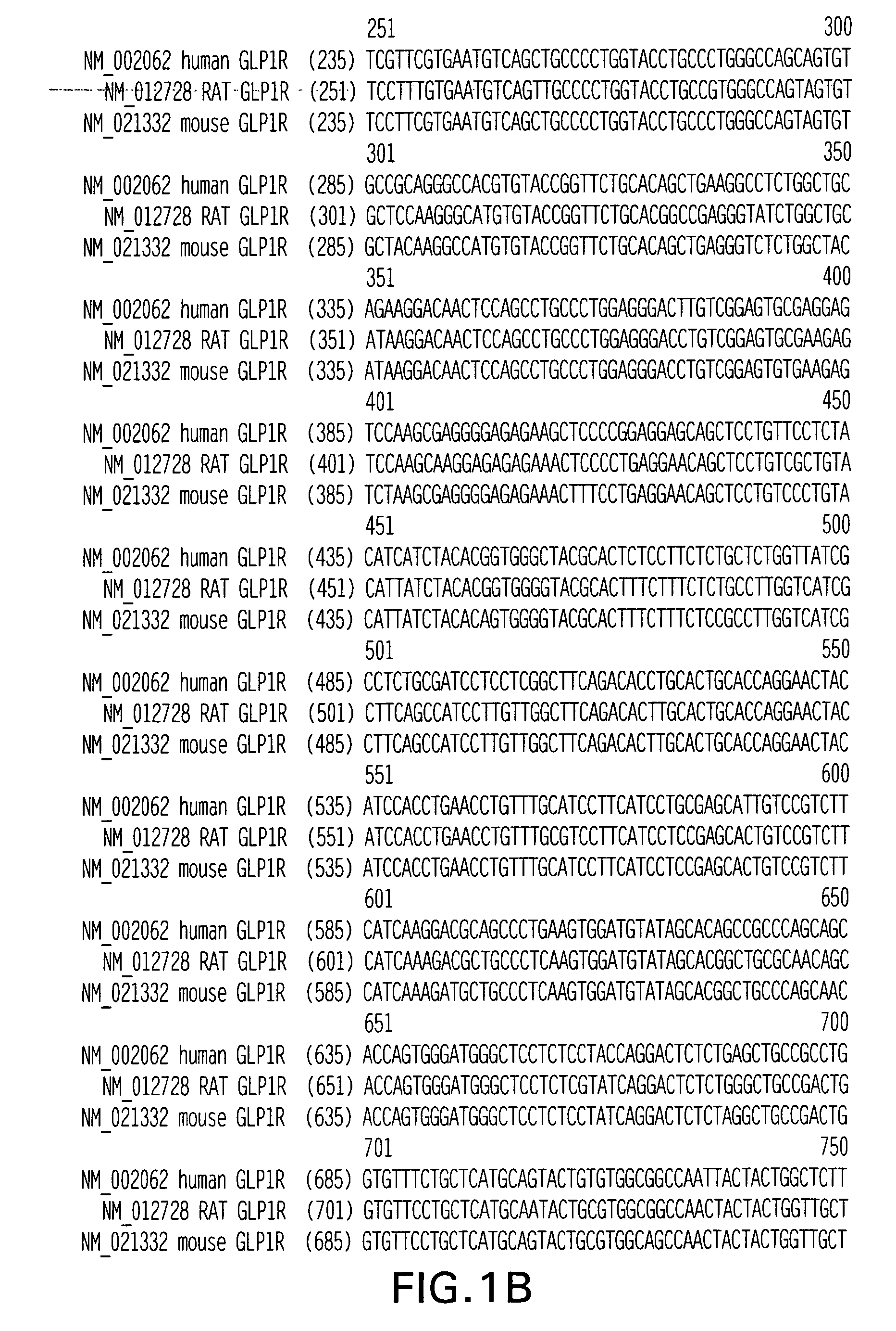 GLP-1 receptor agonist and allosteric modulator monoclonal antibodies and uses thereof