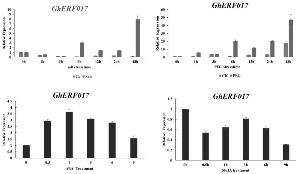 Application of GhERF017 gene in regulation and control of plant salt tolerance