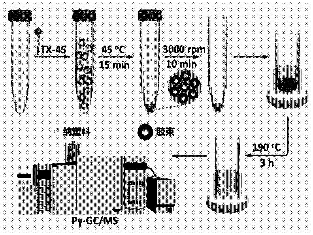 Method for determining nanoplastic based on cloud point extraction-thermal cracking gas chromatography mass spectrometry