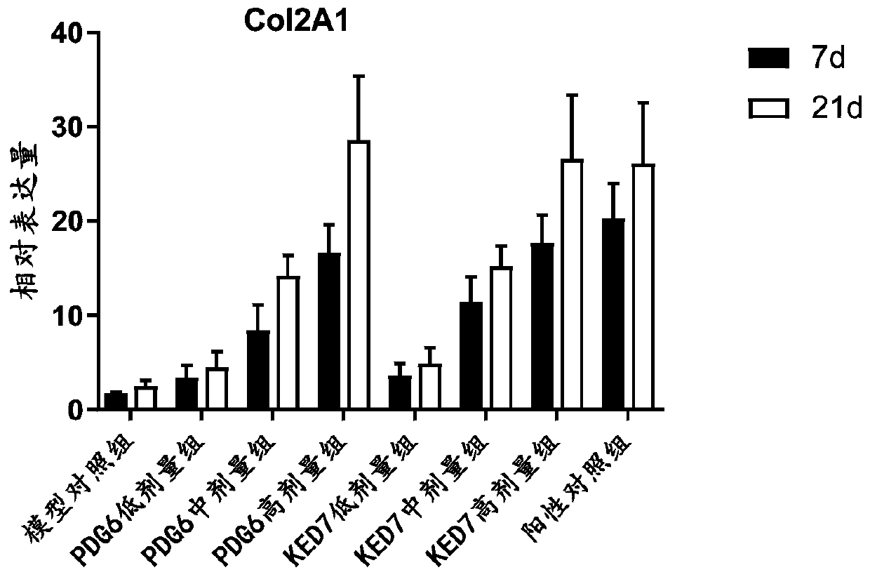 Application of FGF-2 derived polypeptide to preparation of medicines for promoting cartilage repairing and/or treating degenerative arthritis