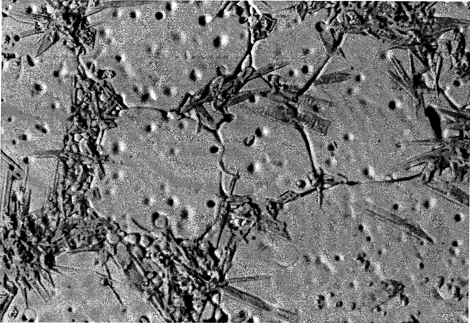 Method for preparing high performance yttrium oxide material