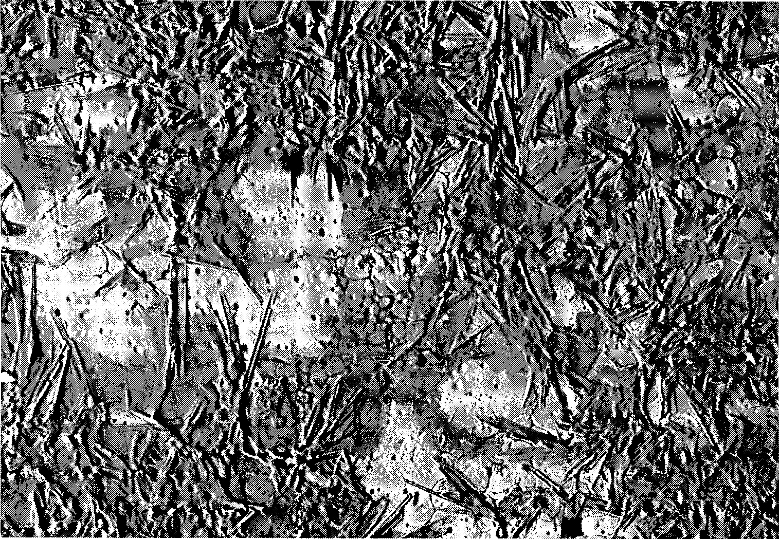 Method for preparing high performance yttrium oxide material