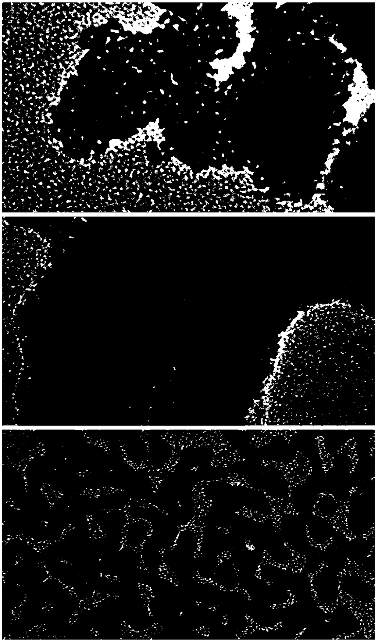 A kind of preparation method of pt-cu linear nano catalyst