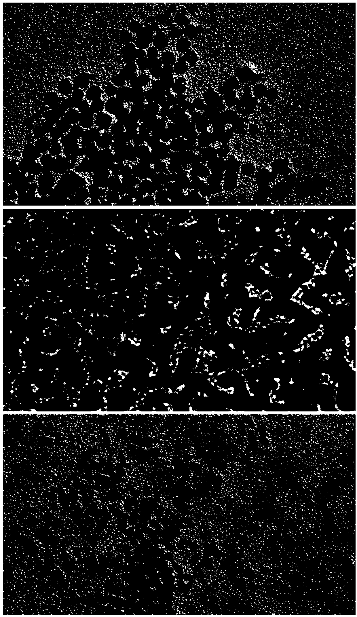 A kind of preparation method of pt-cu linear nano catalyst