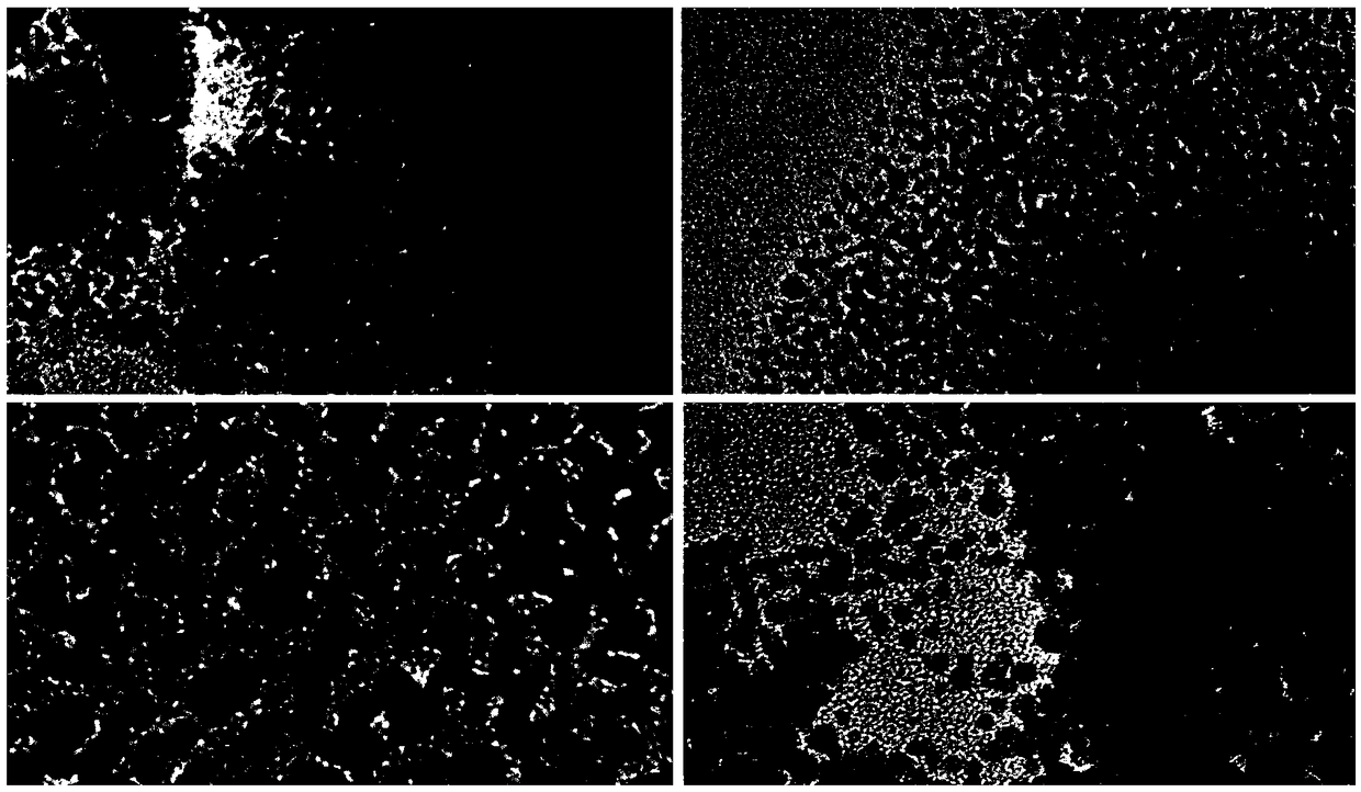 A kind of preparation method of pt-cu linear nano catalyst