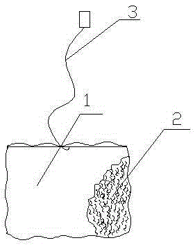 Jinhua fungus Tianjian tea bag and processing method thereof