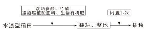 Soil improvement method of water stain type basic lime soil rice field