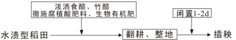 Soil improvement method of water stain type basic lime soil rice field