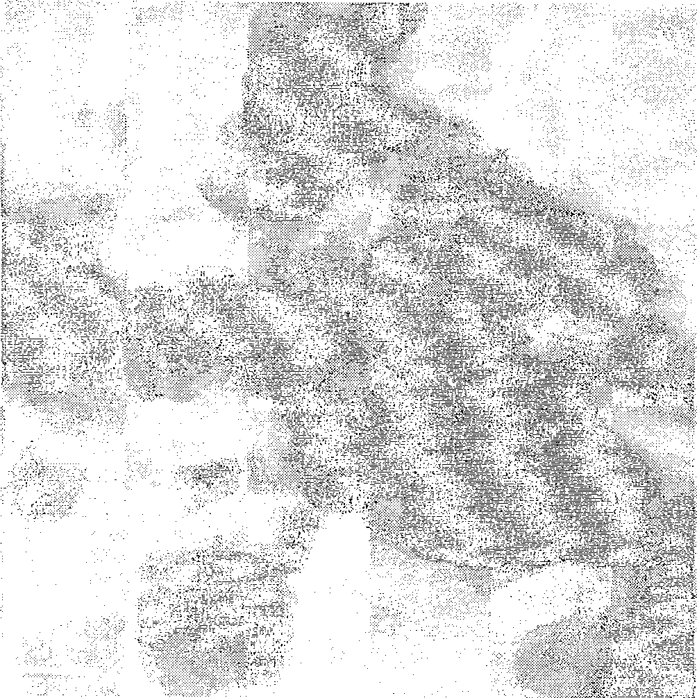 Process for producing Mn doping SnO2 room temperature diluted magnetic semiconductor nano-powder