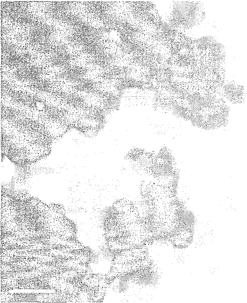 Process for producing Mn doping SnO2 room temperature diluted magnetic semiconductor nano-powder