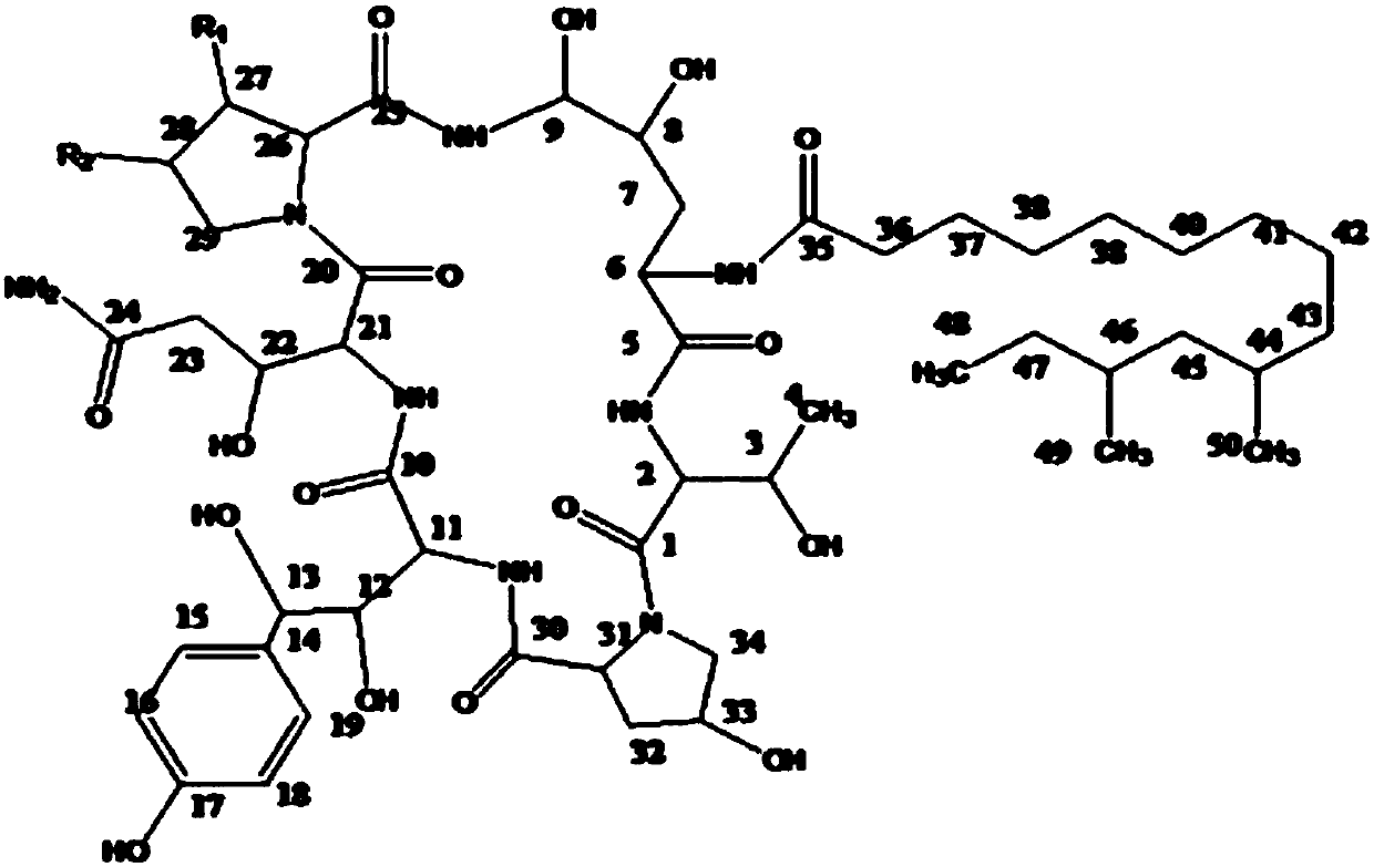 High-efficiency separation and purification method for pneumocandin