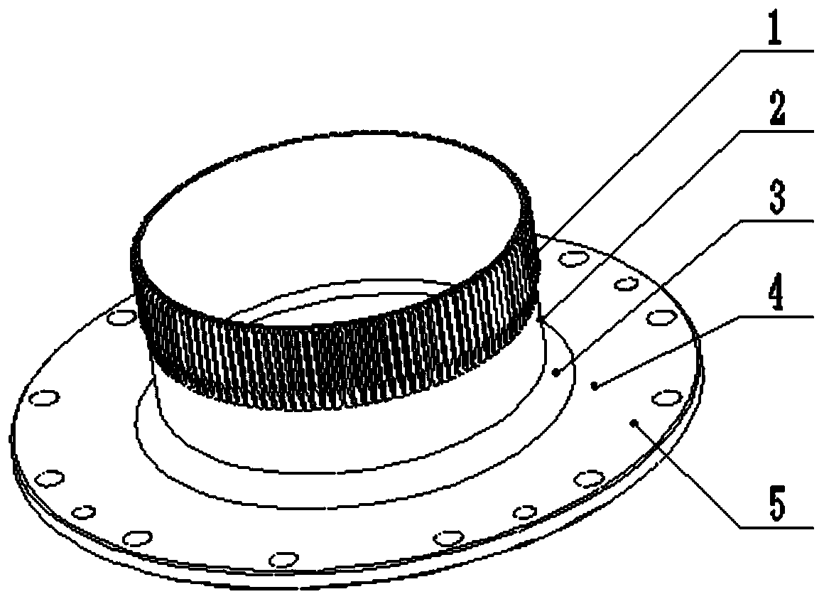 Flexible gear and harmonic reducer