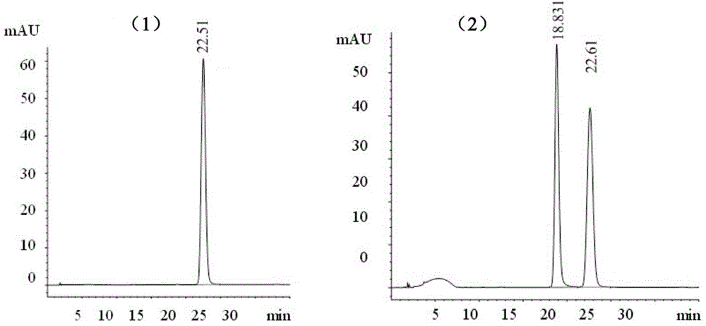 Alpha-L-rhamnosidase Rha1 as well as expressed gene and application of alpha-L-rhamnosidase Rha1