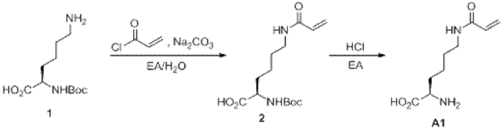 Acrylyl lysine translation system and application thereof