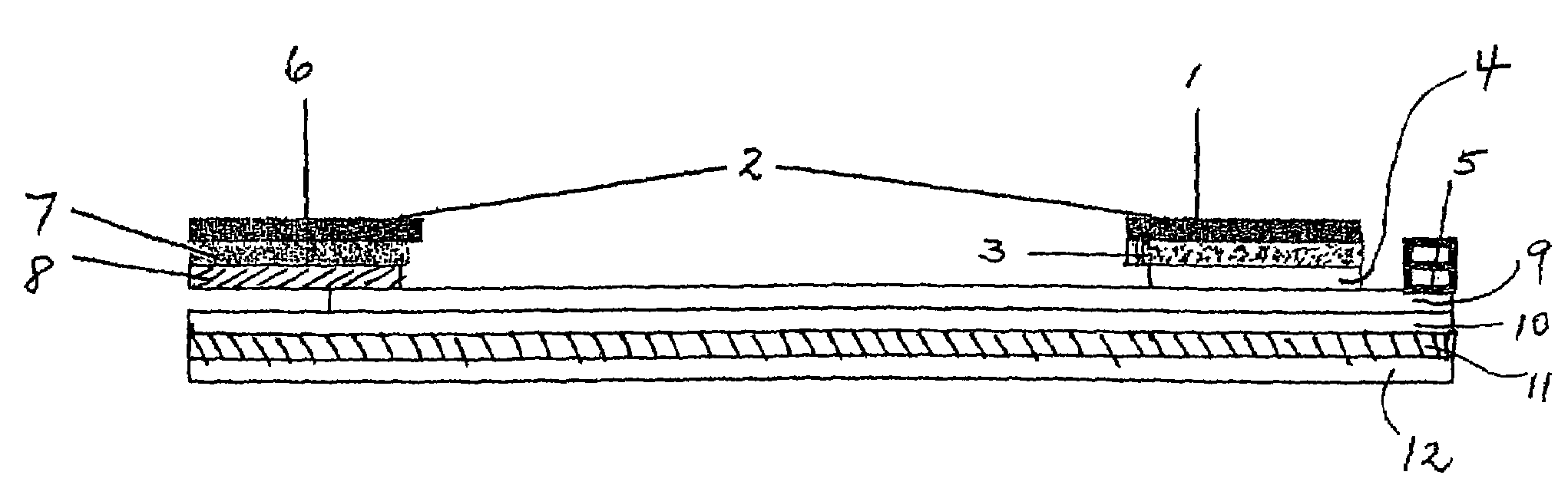 Test strip for a lateral flow assay for a sample containing whole cells