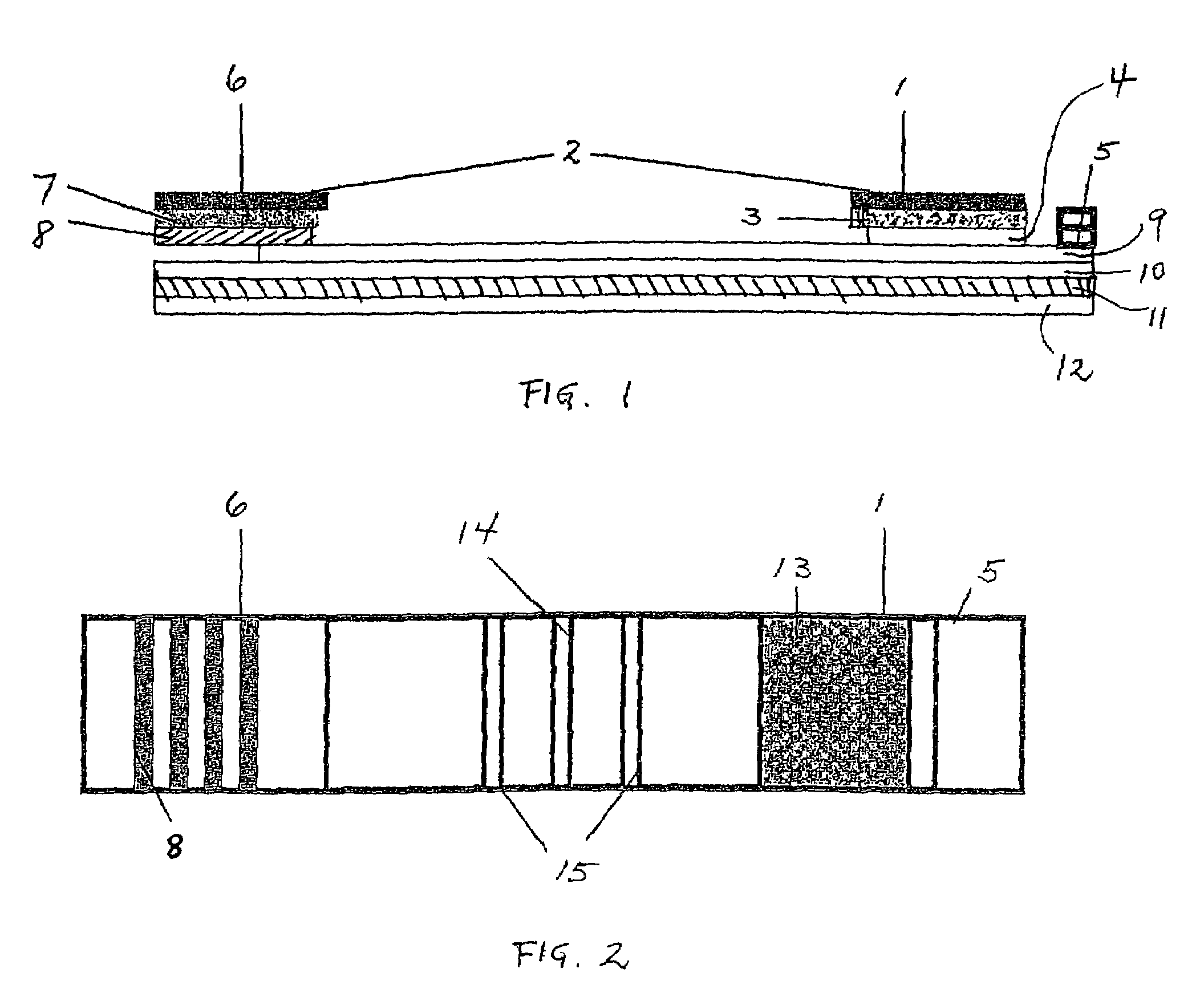 Test strip for a lateral flow assay for a sample containing whole cells