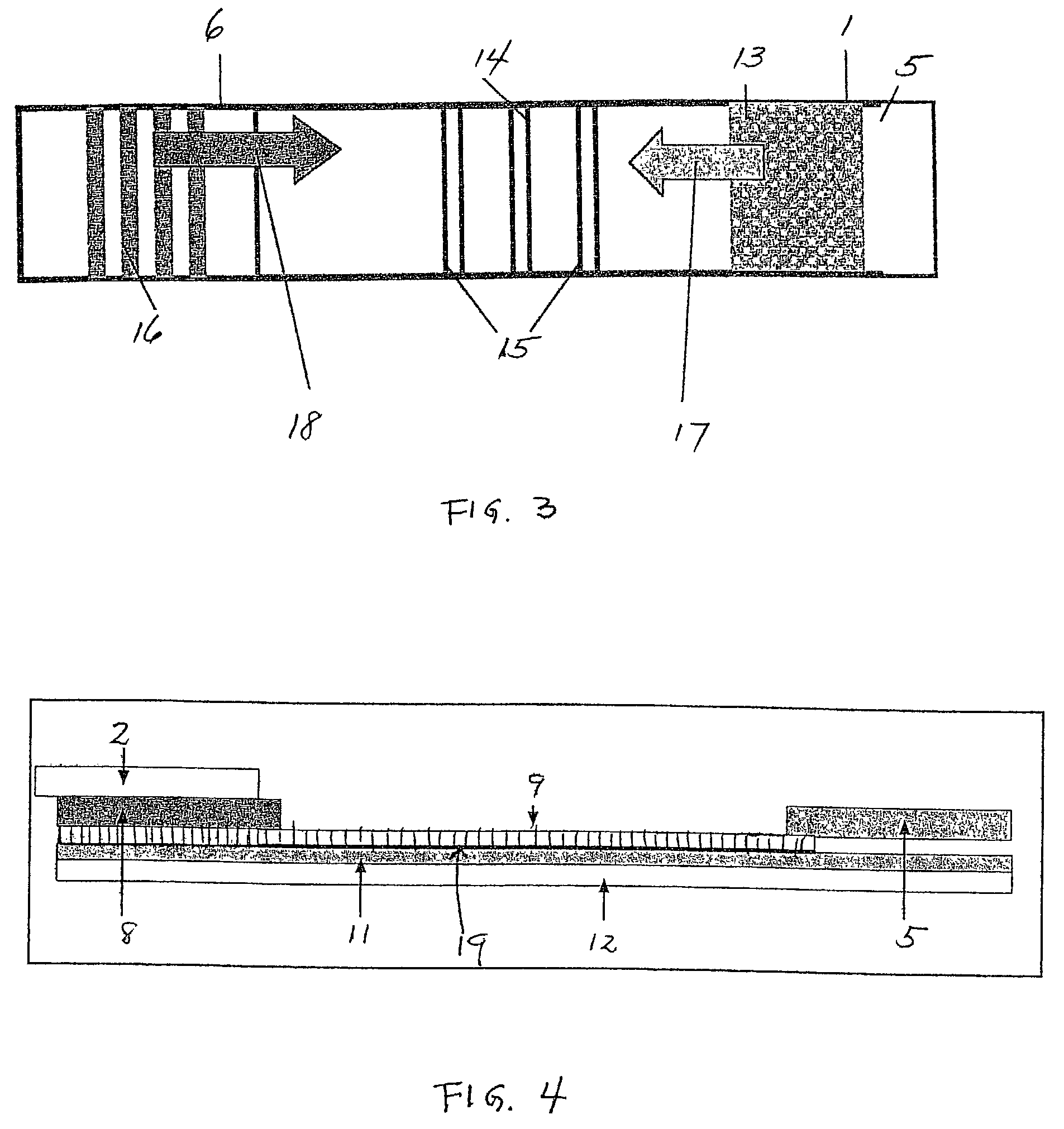 Test strip for a lateral flow assay for a sample containing whole cells