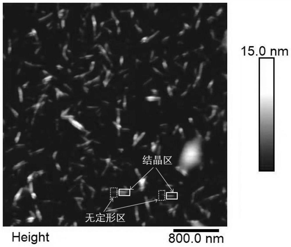 High-carboxyl-substituted hairy cellulose nanocrystal and preparation method thereof