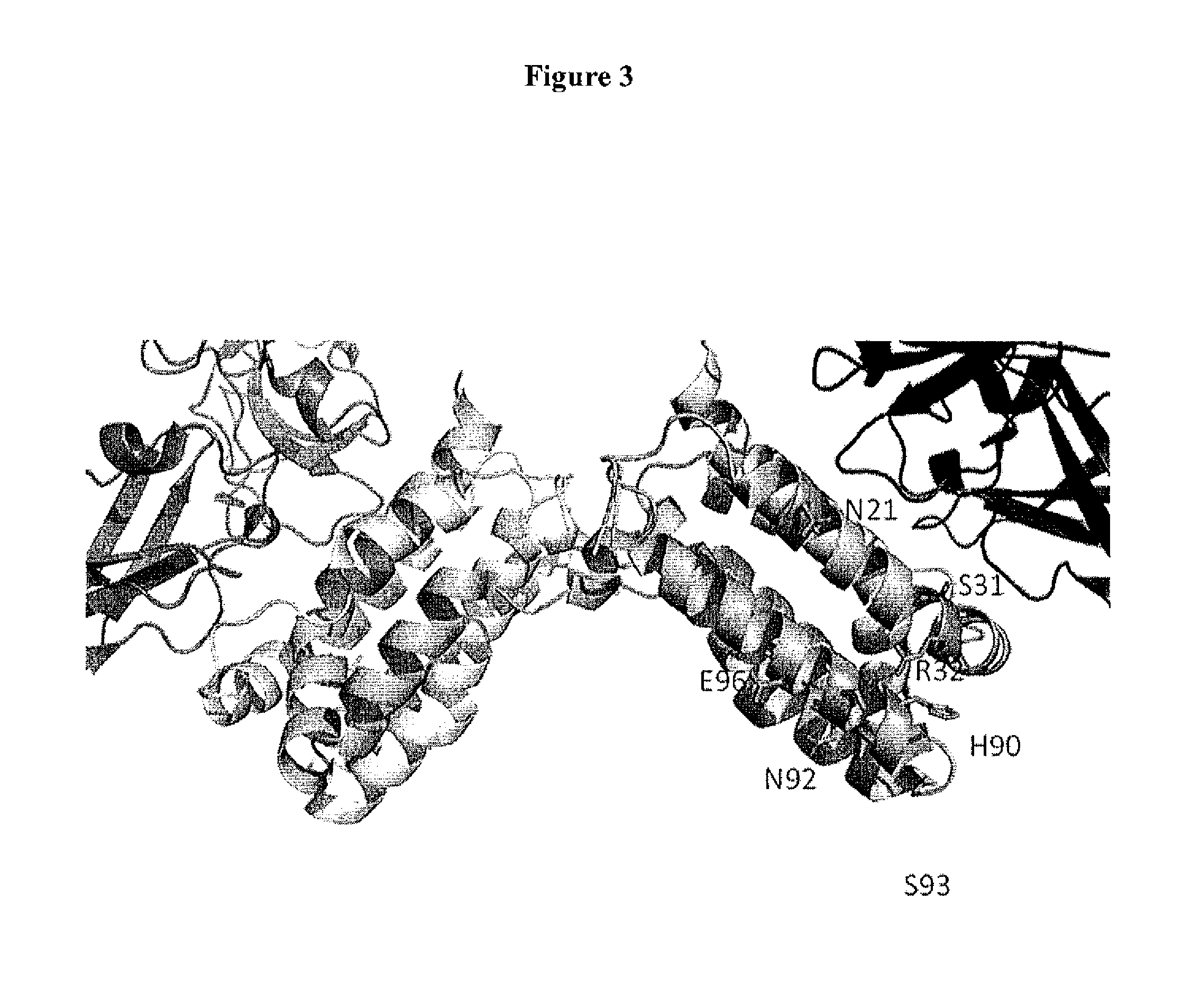 Interleukin-10 Polypeptide Conjugates and Their Uses