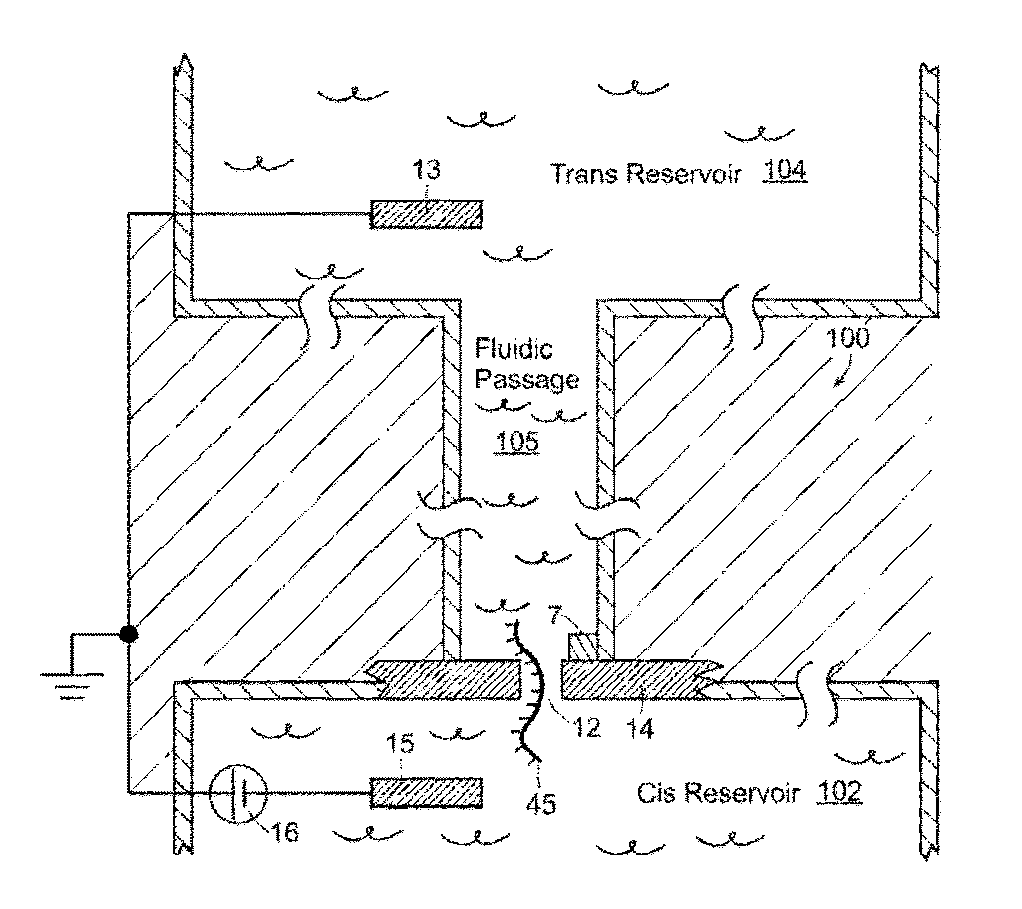 Nanopore Sensor Including Fluidic Passage