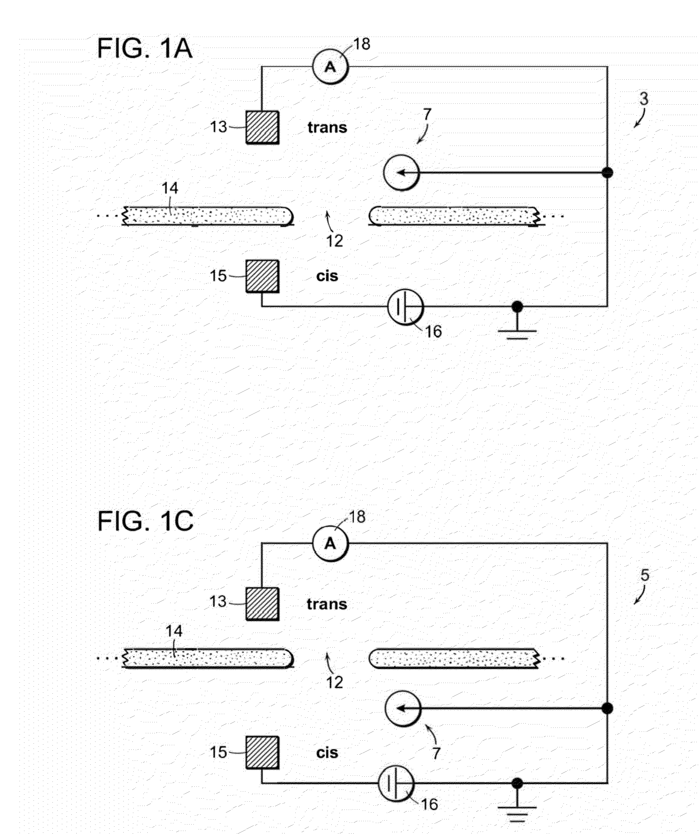 Nanopore Sensor Including Fluidic Passage