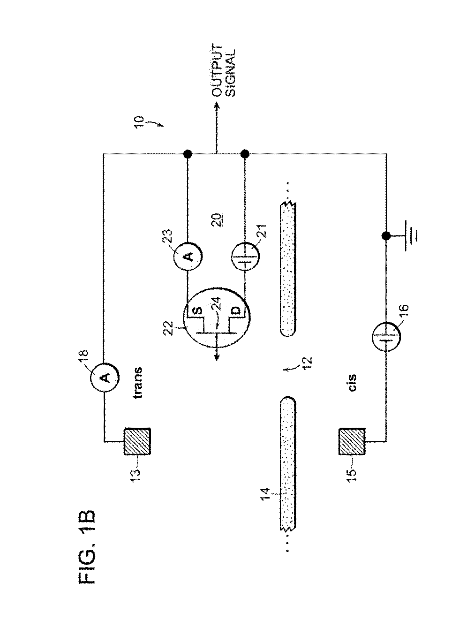 Nanopore Sensor Including Fluidic Passage