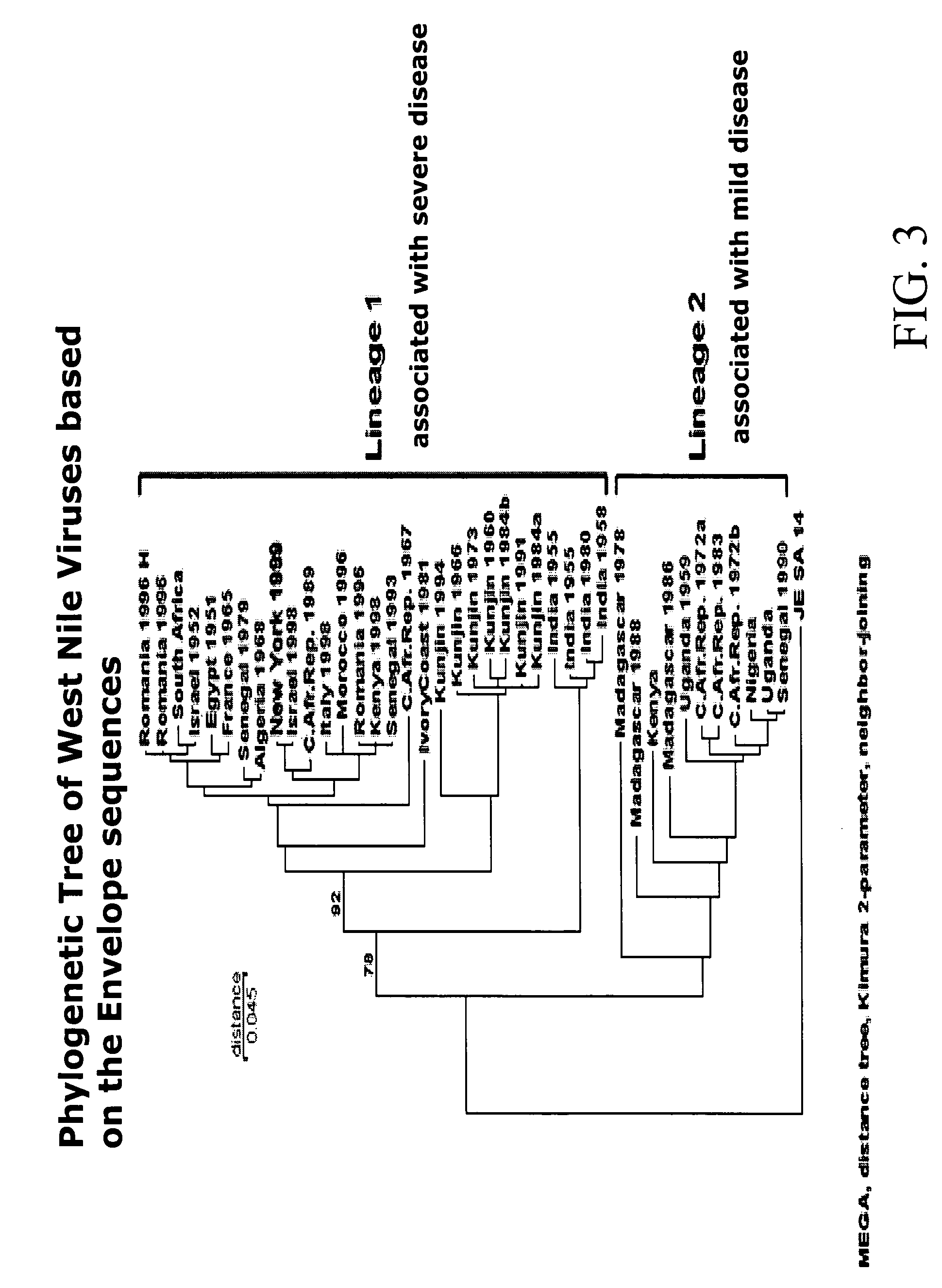 Vaccines against West Nile Virus