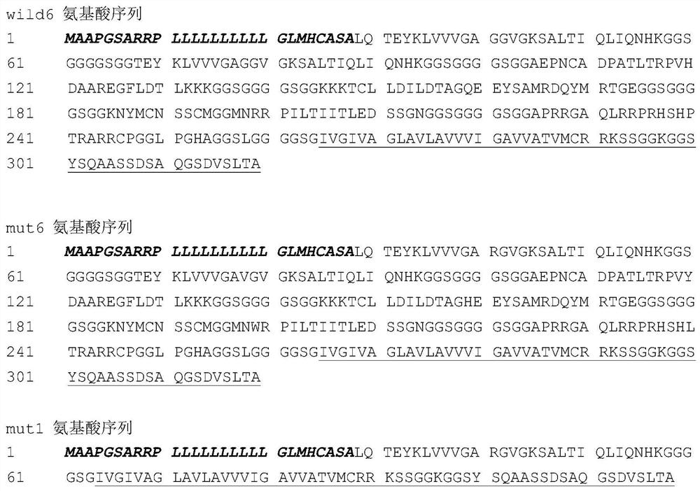 Universal polypeptide vaccine and its application in the preparation of drugs for treating/preventing pancreatic cancer