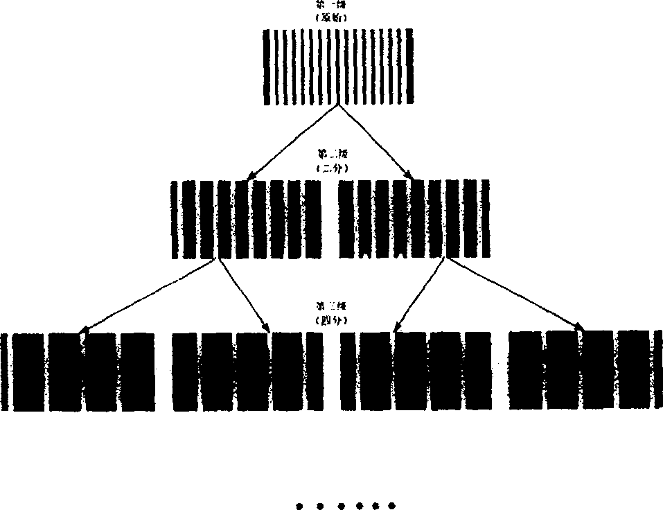 Grating projection and recognition method