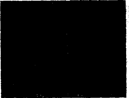 Grating projection and recognition method